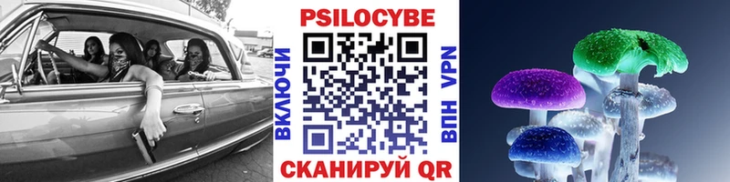 где найти Нурлат Псилоцибиновые грибы ЛСД